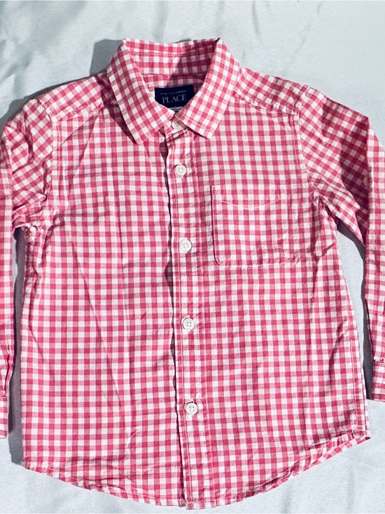 The Children's Place Other - The Children's Place Pink & White Gingham Button-Down Shirt